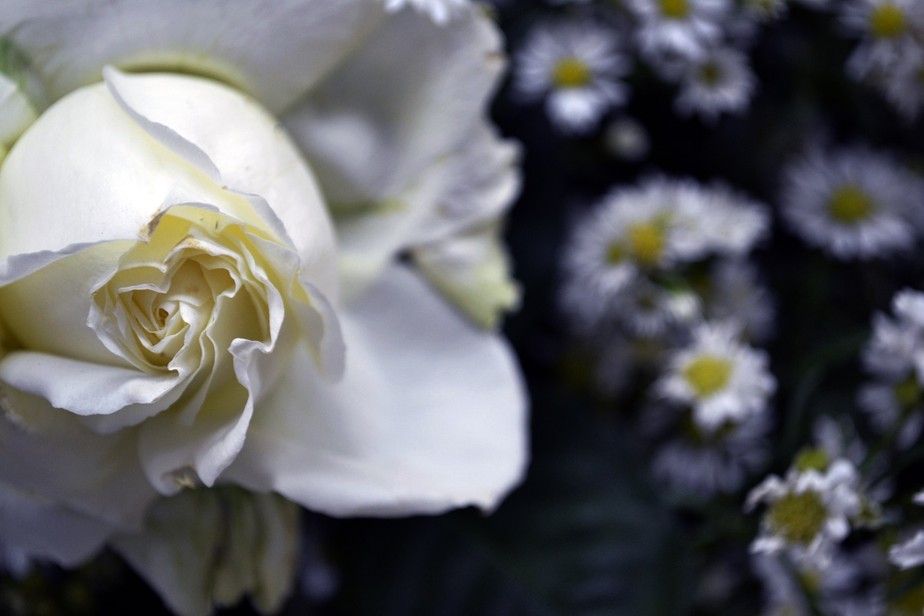 Os fiéis costumam oferecer flores à divindade como forma expressar sua fidelidade