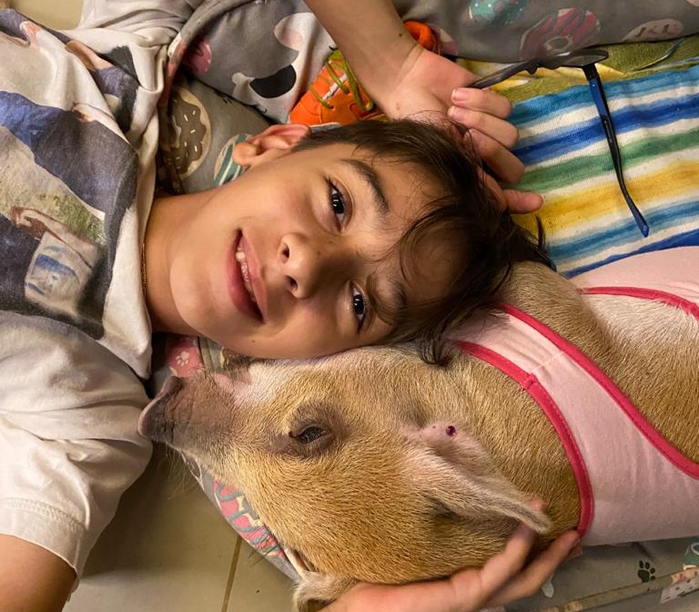 Charlote, porquinha de estimação, com filho de Gigliane Silva, tutora do animal. — Foto: Arquivo pessoal 