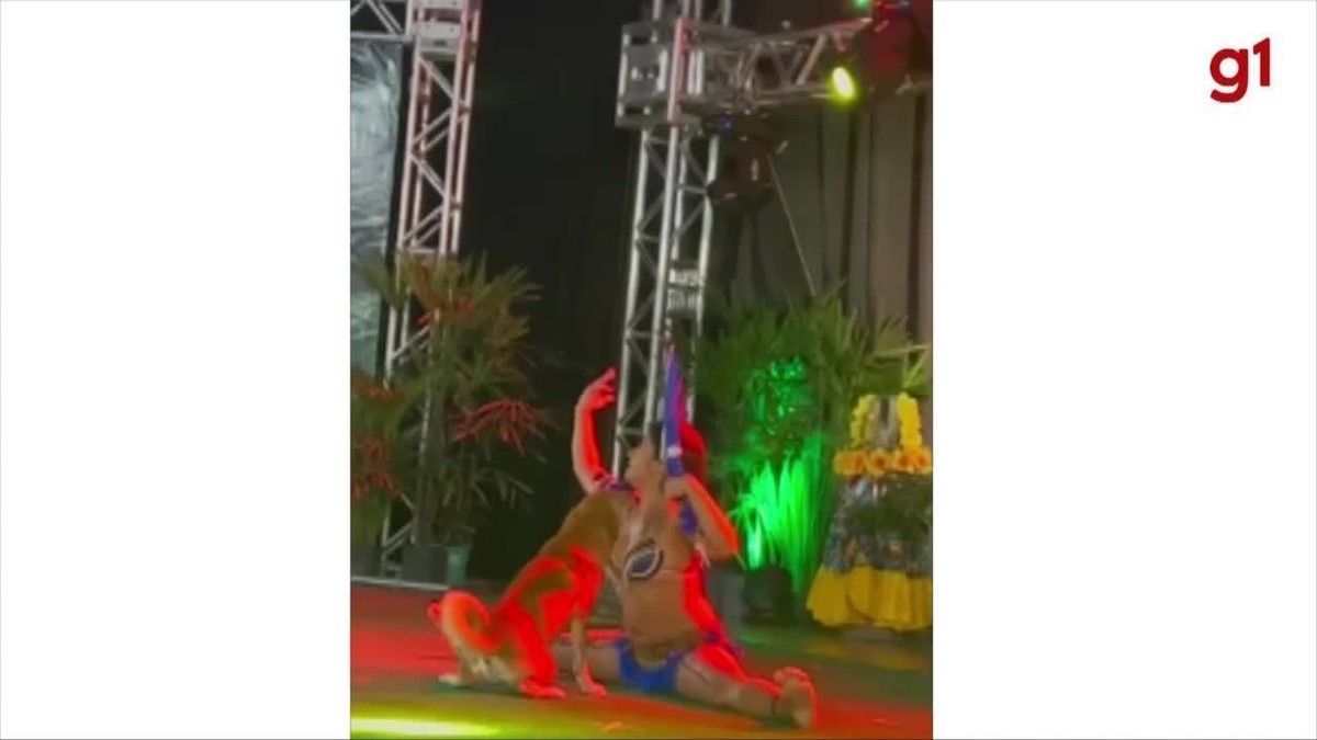 VÍdeo Cachorro Caramelo Invade Palco E Dança Com Mulher No Pará Não Podia Parar A 