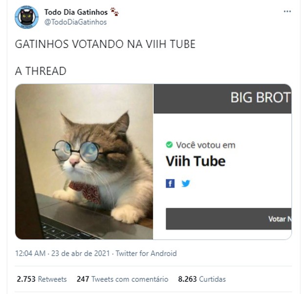 Viih Tube vira meme ao ser indicada em seu primeiro paredão (Foto: Reprodução/Twitter)