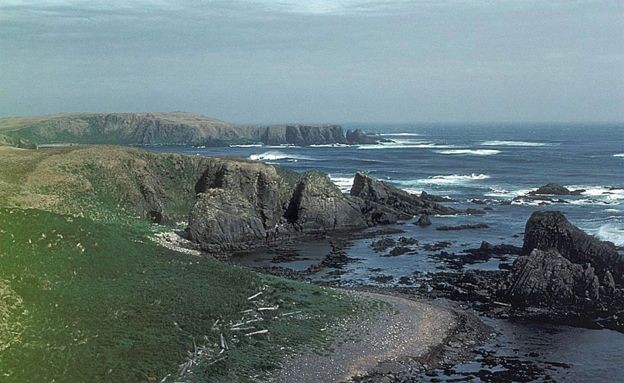 BBC - Quando Jim Estes retornou à Ilha Amchitka, ficou assustado com o que viu (ou melhor, com o que não viu) (Foto: BBC)