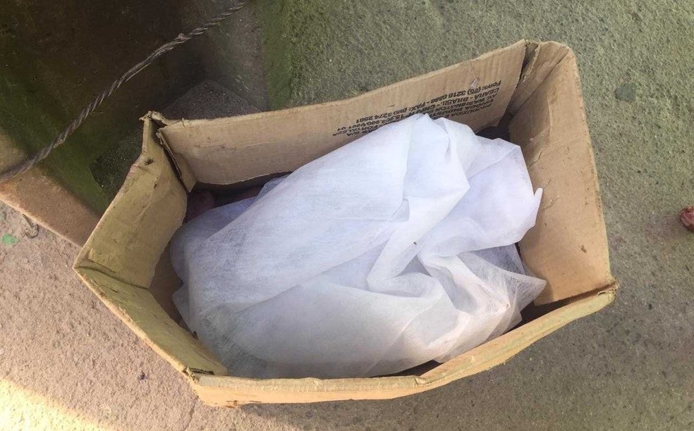Garis acham corpo de bebê em Maranguape, na Grande Fortaleza — Foto: Arquivo pessoal