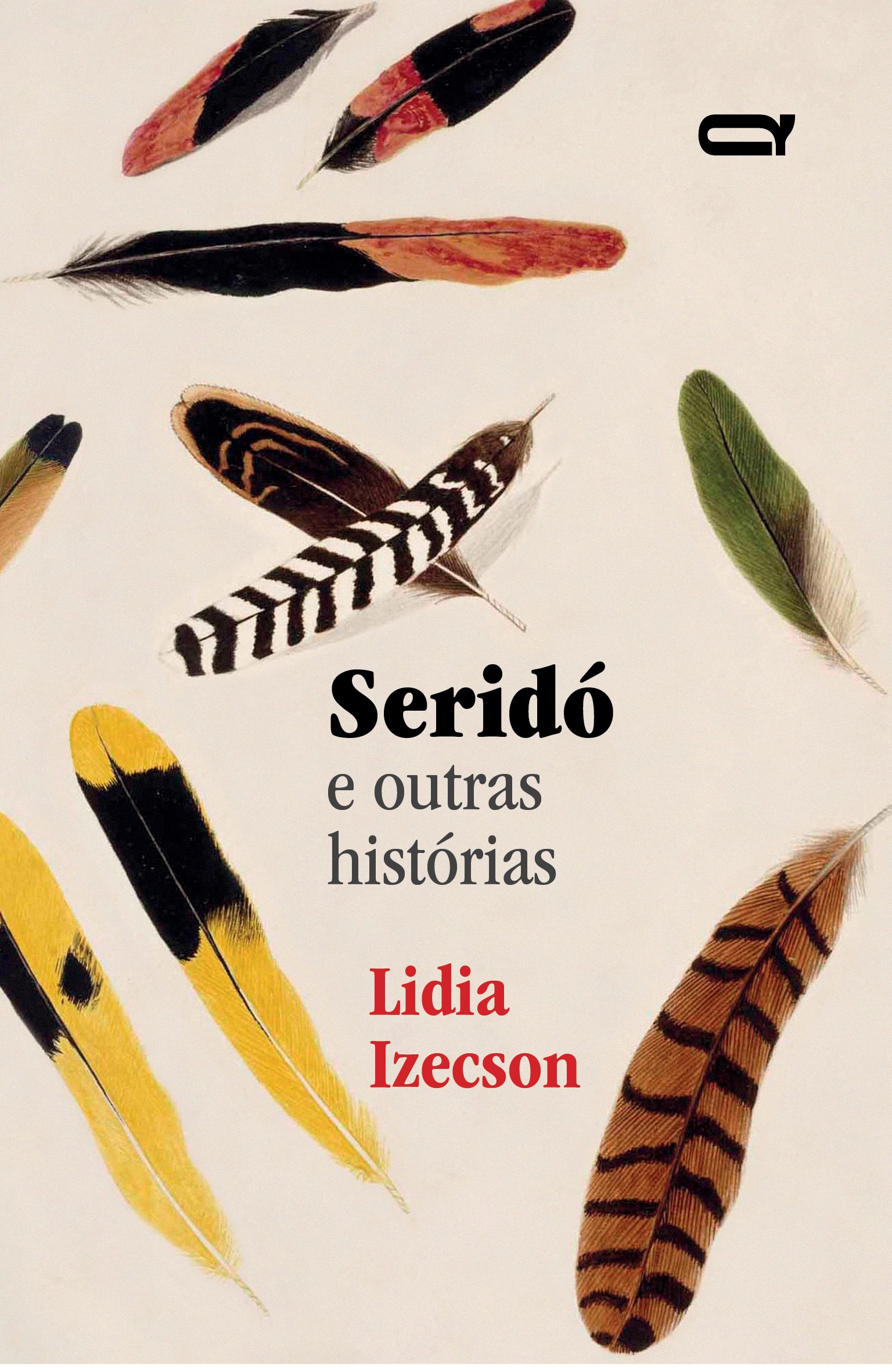 Capa do livro Seridó (Foto: Divulgação)