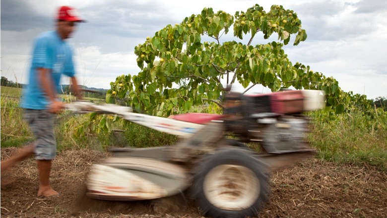 Agricultura_agricultor_ (Foto: Marcelo Curia/Ed. Globo)
