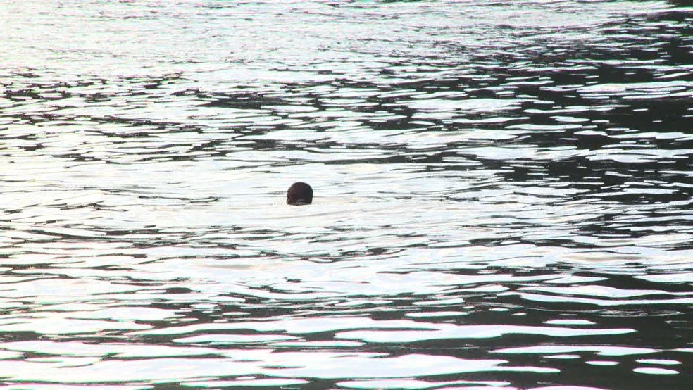 Homem se afoga na beira mar — Foto: Fernando Estevão/ TV Gazeta
