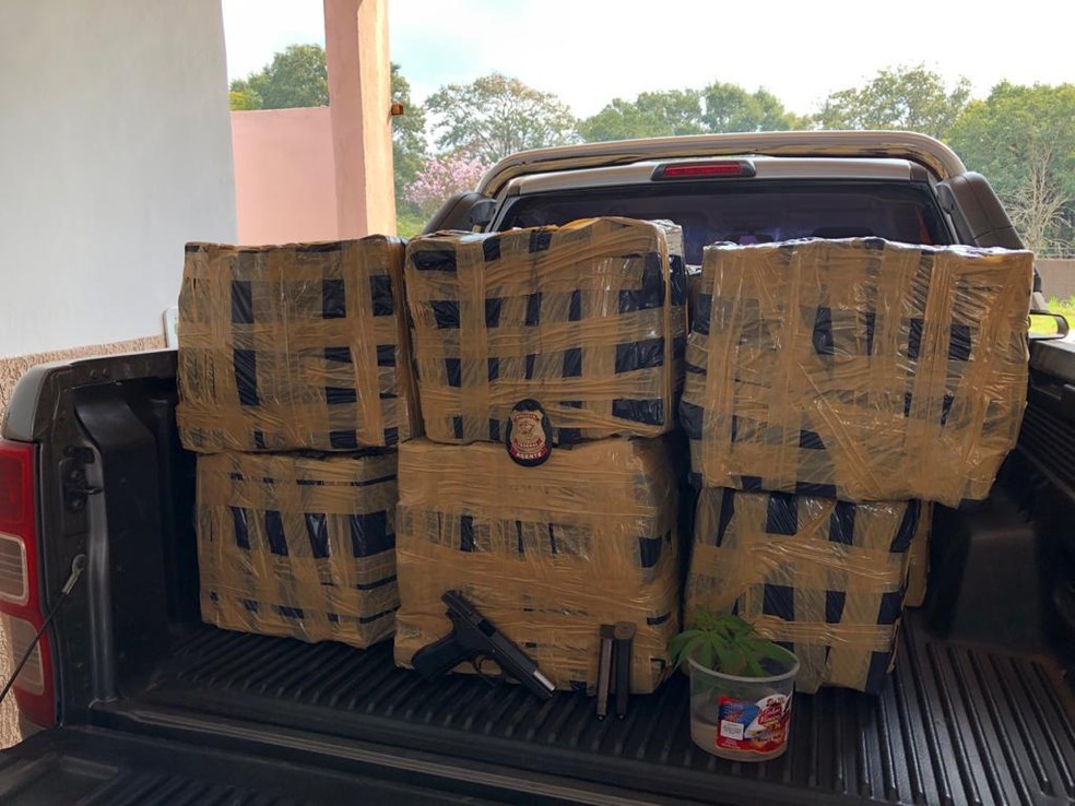 Maconha apreendida já estava prensada e pronta para o transporte — Foto: PF/Divulgação