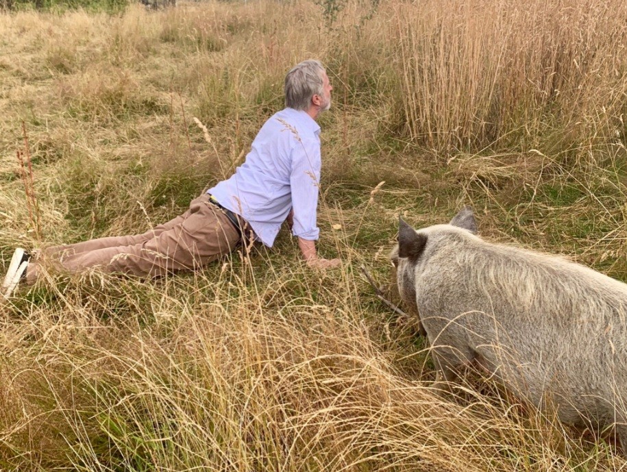 Sam Neill e seu porquinho (Foto: Reprodução / Twitter)