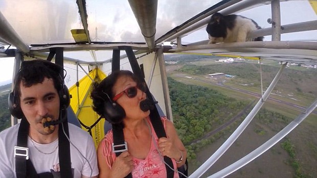 Vídeo mostra o momento em que o casal, que faz um voo de aeroplano, se depara com um gato que dormia tranquilamente na asa (Foto: Reprodução / YouTube)