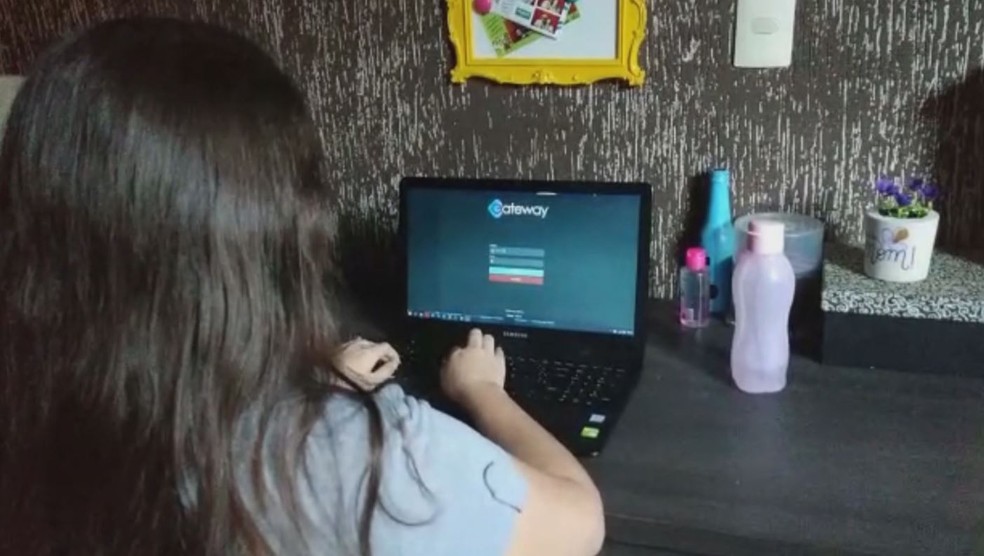 Profissionais da região de Itapetininga (SP) precisaram fazer adaptações para trabalhar em casa — Foto: Reprodução/TV TEM
