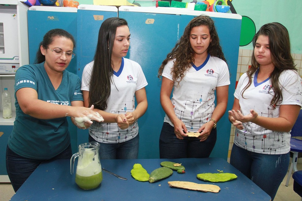 Estudantes de Palmeira dos Índios desenvolvem xampu à base de palma e juá — Foto: Ascom/Seduc
