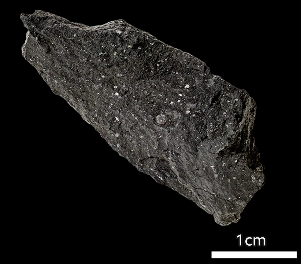 Um fragmento do meteorito de Winchcombe foi recentemente vendido em leilão por mais de 120 vezes o valor de seu peso em ouro — Foto: NHM/BBC