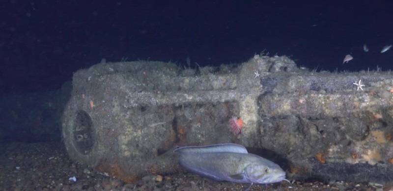Possível tubo da popa  do navio naufragado explorado em 2021 (Foto: NOAA / MITech)