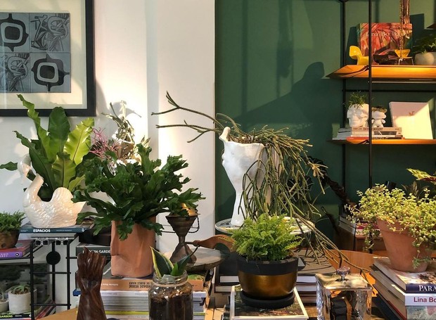 Nesta mesa de centro, a paisagista Clariça Lima misturou livros, esculturas e objetos com plantas em vasos sortidos (Foto: Studio Clariça Lima / Divulgação)