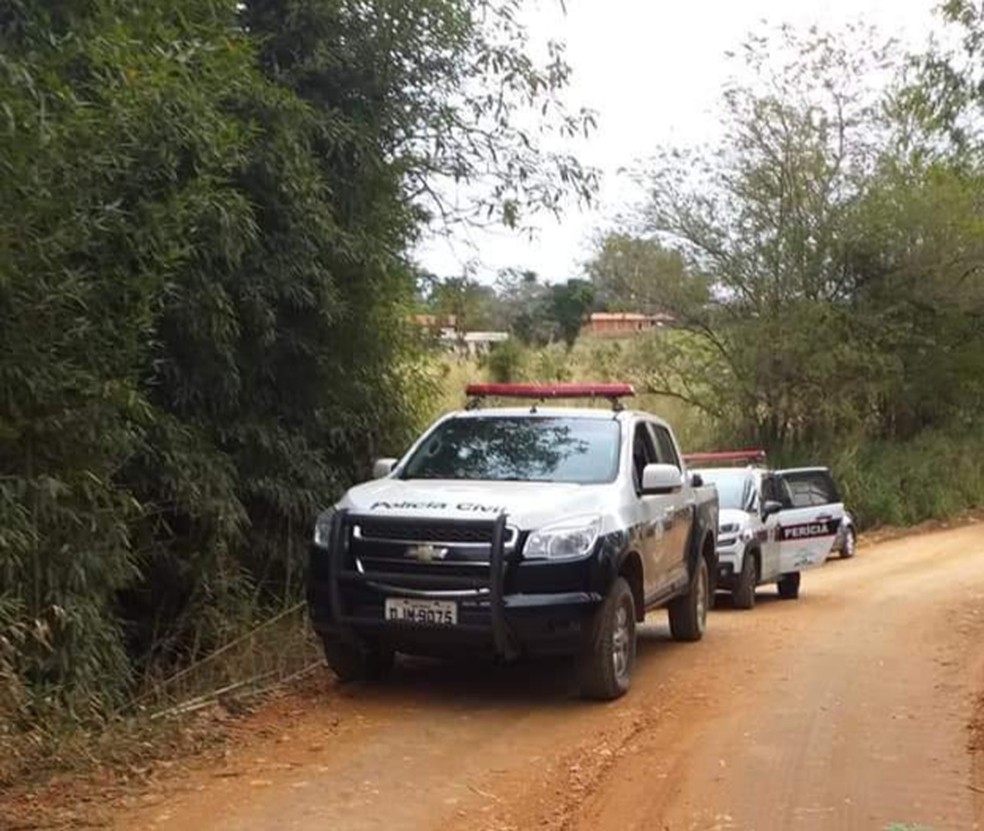 Quarteto foi preso em Capivari depois de roubarem bolsa de mulher em Rafard, segundo polícia — Foto: Polícia Civil