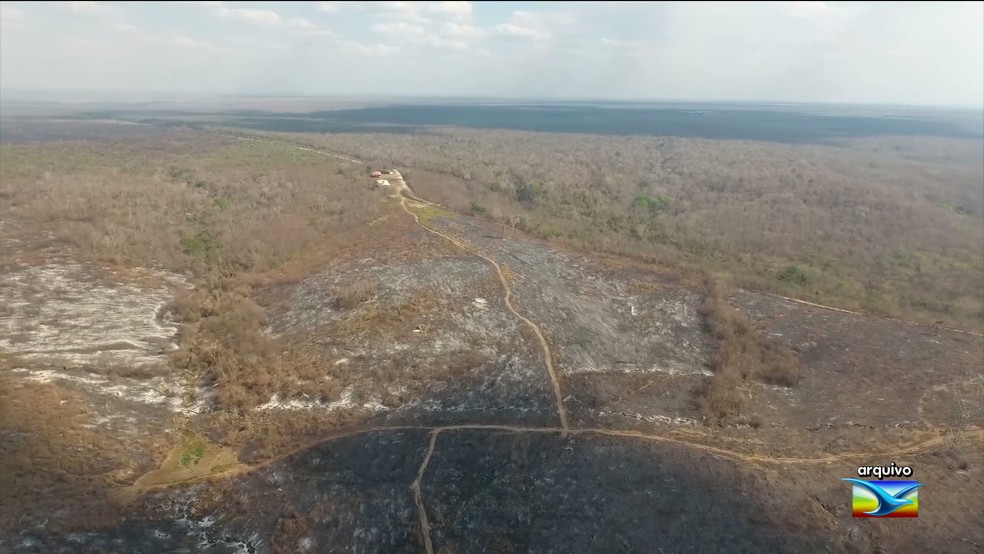 Incêndios ameaçam reservas ambientais no sul do Maranhão (Foto: Reprodução/TV Mirante)