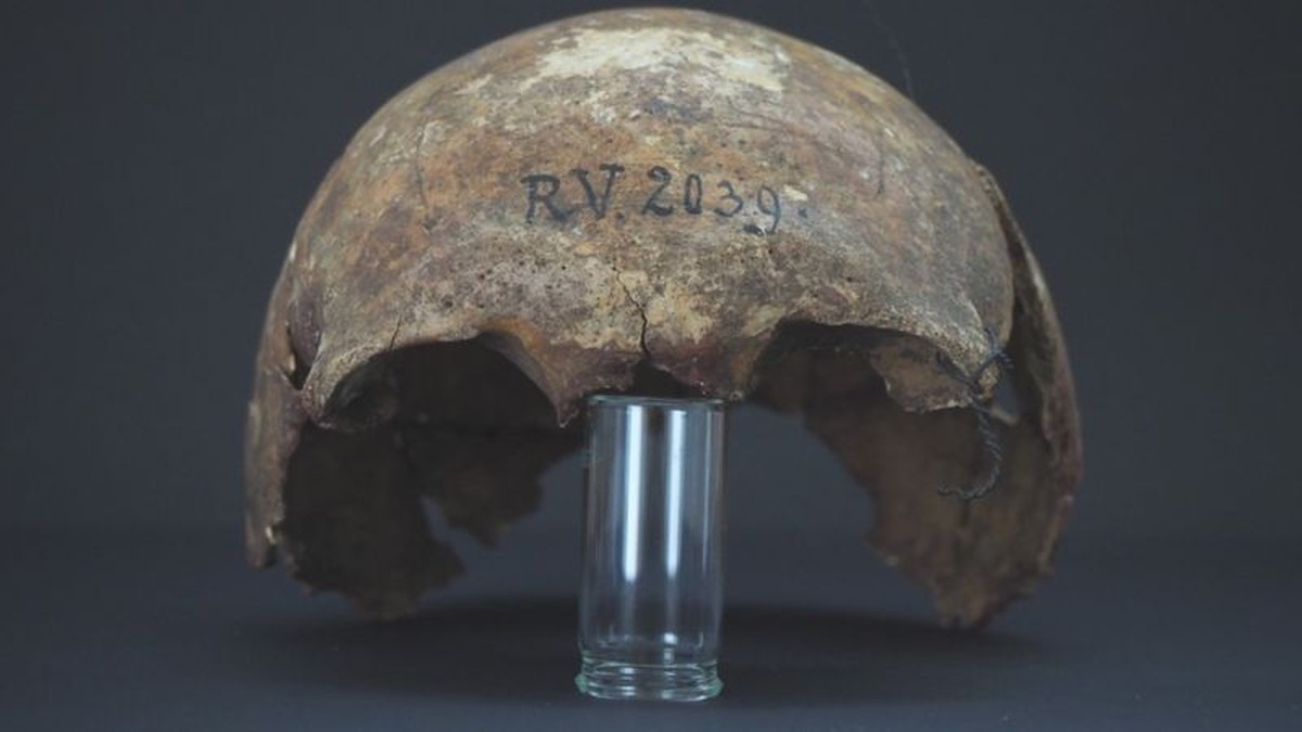 Cientistas identificam possível ‘paciente zero’ da peste bubônica, morto há 5 mil anos | Ciência e Saúde