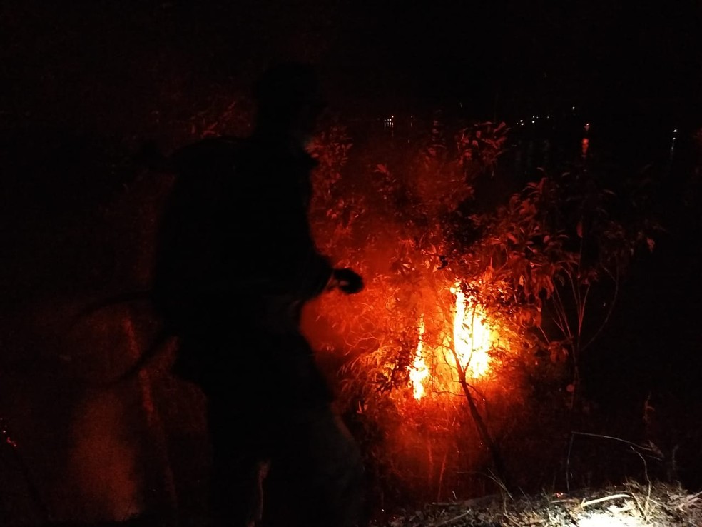 IncÃªndio em Ã¡rea de proteÃ§Ã£o ambiental na Ilha Grande, em Angra, em agosto â Foto: DivulgaÃ§Ã£o/Corpo de Bombeiros