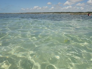 'Conheci as piscinas naturais, com águas cristalinas, sem contar as praias consideradas o Caribe brasileiro.' (Foto: Aline Cirino dos Santos/VC no G1)