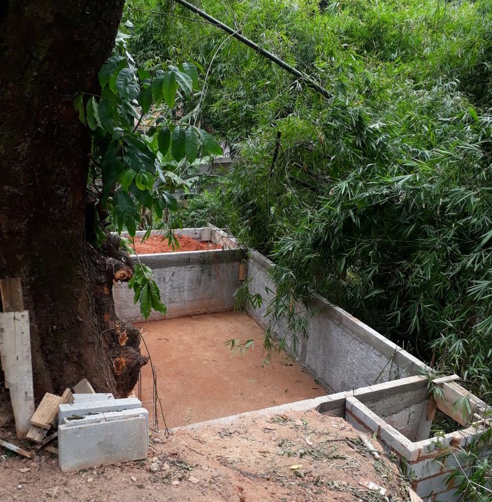 Homem E Detido Por Cortar Arvores E Construir Piscina Em Area De Preservacao Em Cachoeiras De Macacu No Rj Regiao Serrana G1