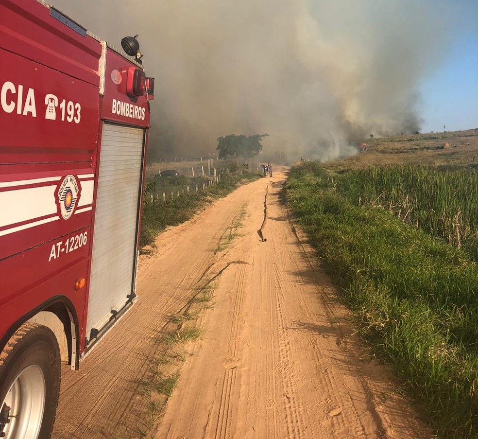 Área de mata foi queimada em Taquarituba (SP) — Foto: Arquivo Pessoal