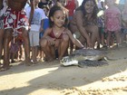 Projeto Tamar comemora 35 anos com soltura de tartaruga em Vitória