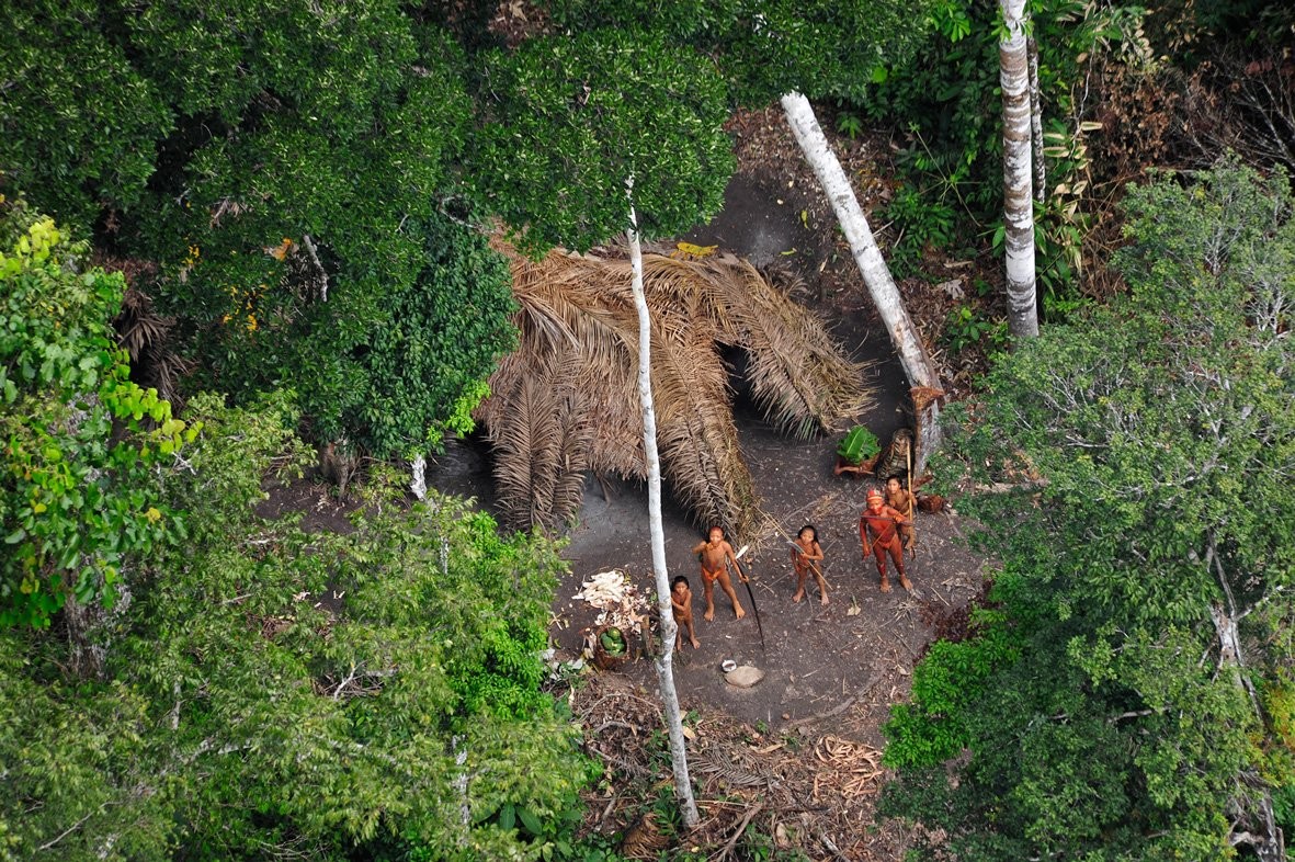 Imagem de helicóptero de tribo isolada no Amazonas (Foto: G. Miranda/FUNAI/Survival)