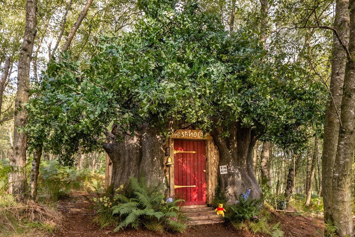 Winnie the Pooh tree house recreated by illustrator of the drawing and can be rented for a weekend | Look how nice it is
