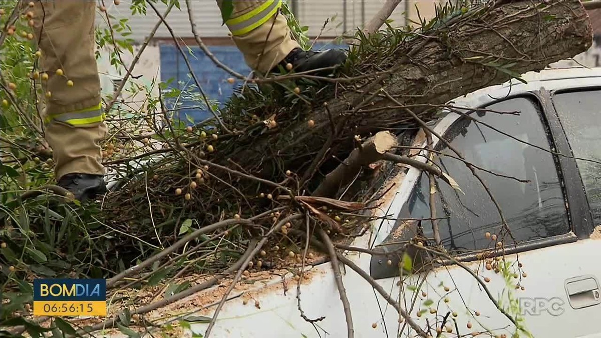 Motorista Fica Ferido Após árvore Cair Sobre Carro Em Curitiba Paraná G1 2032