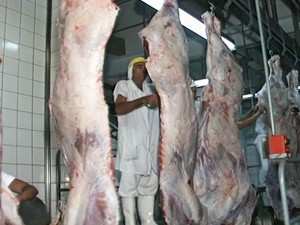 Abate de bovinos em frigorífico de MS (Foto: Produção/ TV Morena)