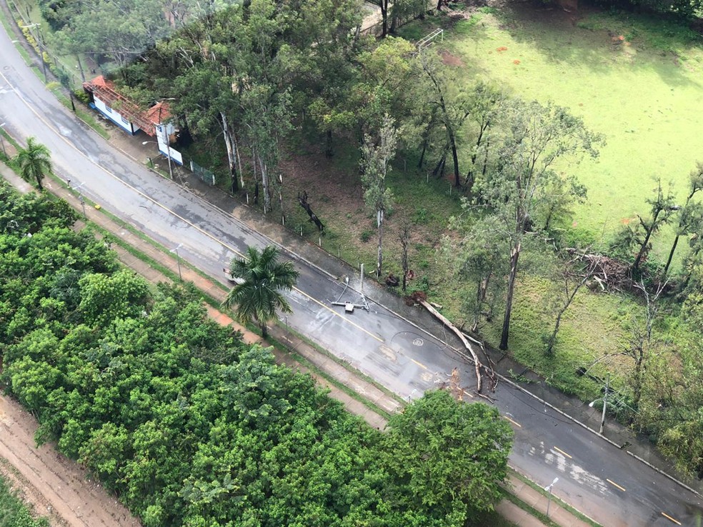 Árvore e poste caíram na Região da Pampulha, em BH  — Foto: Danilo Girundi/TV Globo 