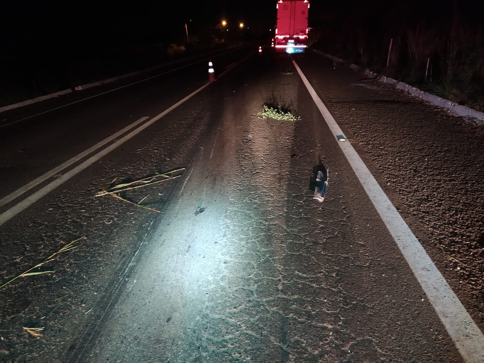 Motociclista morre após bater de frente com caminhão na BR 316 no Piauí — Foto: Reprodução