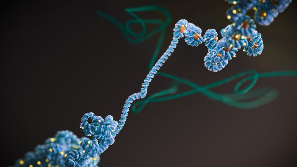 A imagem mostra o DNA enrolado em histonas (na cor laranja). O epigenoma é governado por mudanças na estrutura tridimensional do DNA, que pode ser pensada como um pedaço de barbante com nós. — Foto: Phospho Biomecial Animation