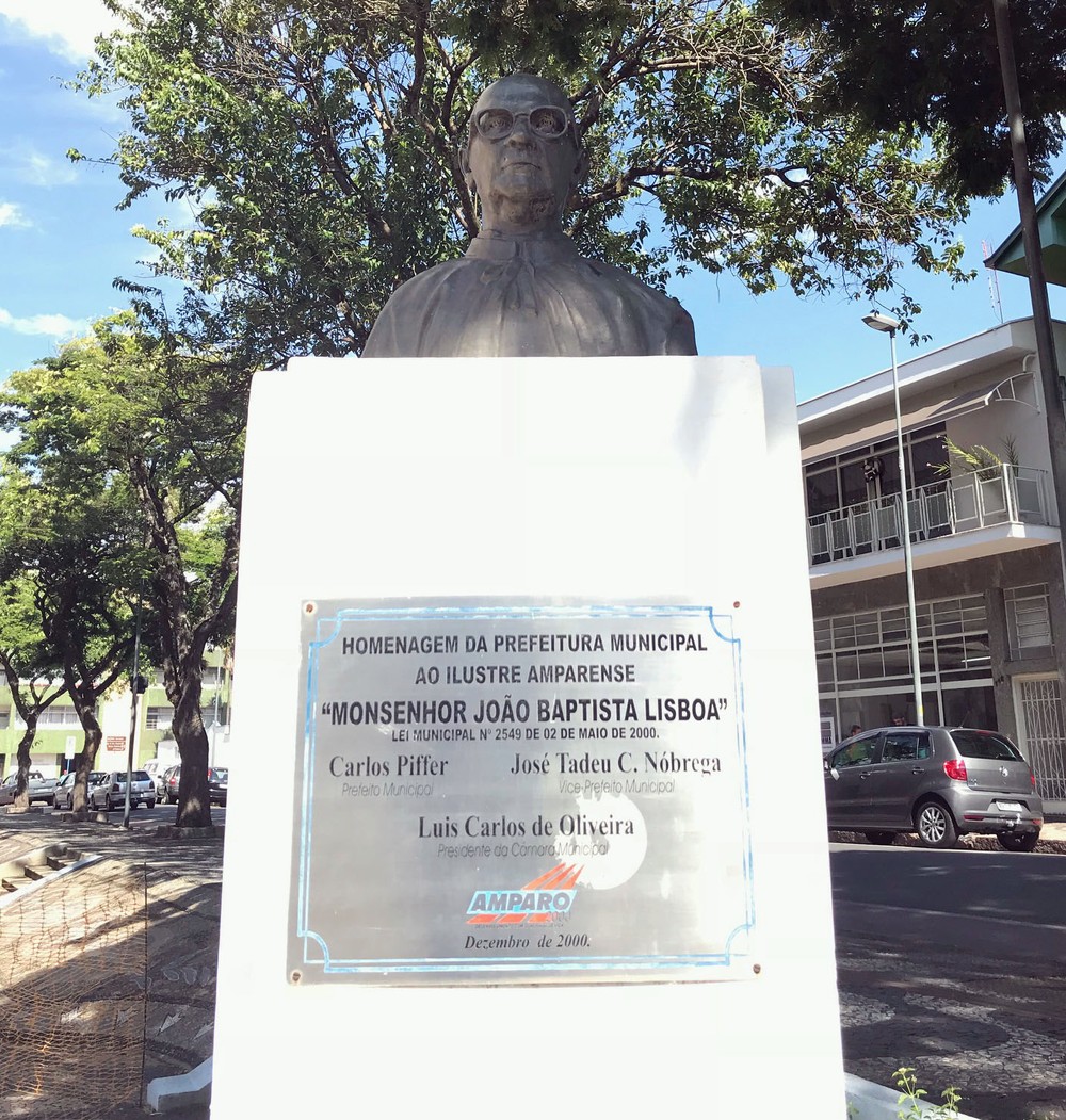 Fanatismo na cidade mais palmeirense do Brasil