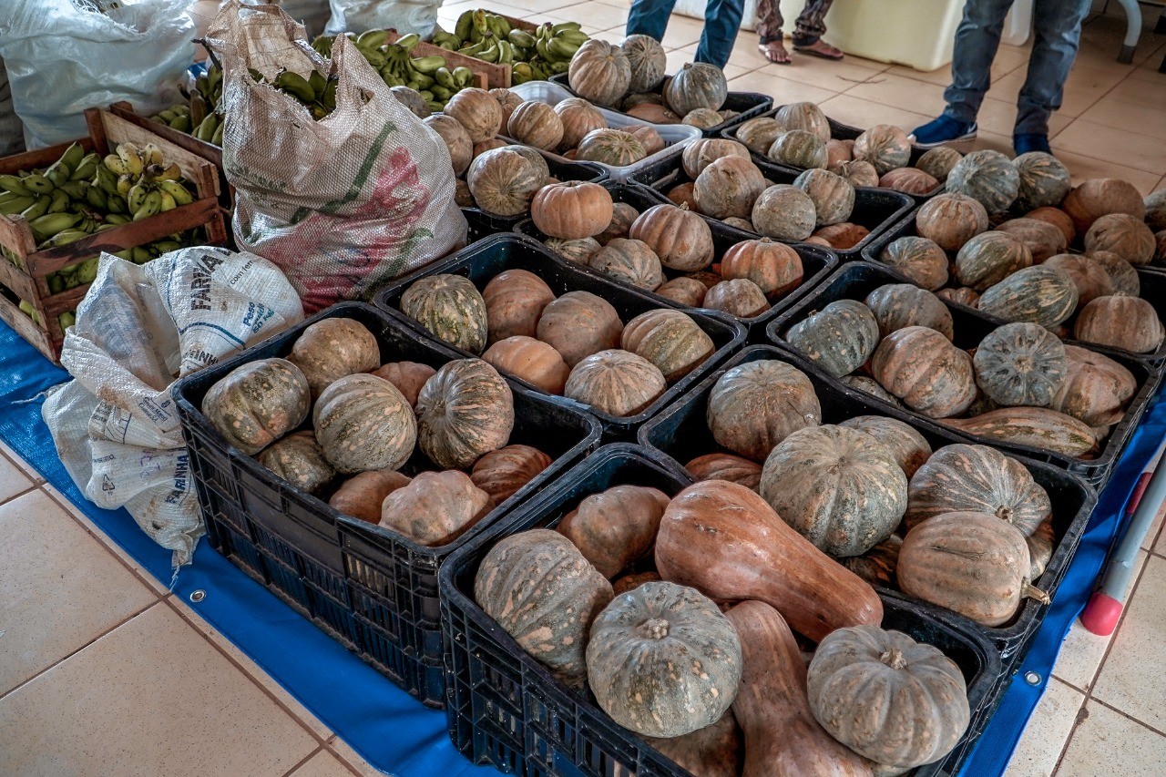 Em Santarém, 300 famílias serão beneficiadas com cestas de alimentos do PAB nesta quarta, 23