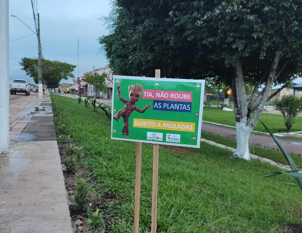 Prefeitura resolveu usar placas humoradas para alertar contra furto de plantas em jardins de Plácido de Castro — Foto: Arquivo/Prefeitura