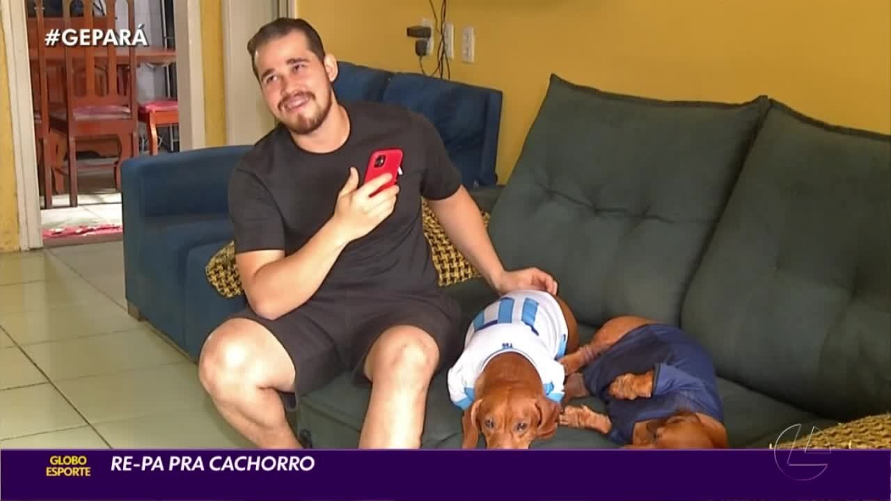 Cachorros vestidos com camisas de Remo e Paysandu viralizam nas redes sociais
