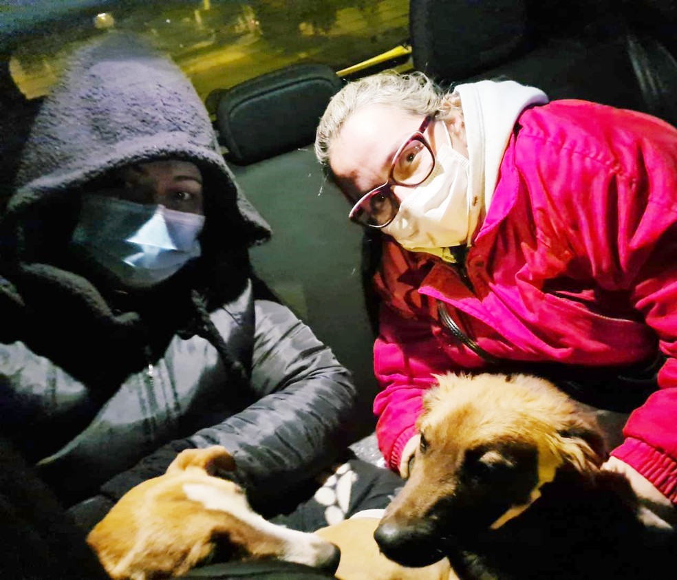 Voluntárias se unem e distribuem roupinhas aos cães abandonados em Itapetininga — Foto: Arquivo Pessoal