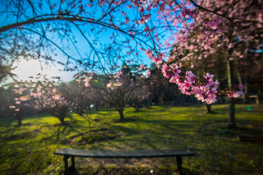Parque do Carmo, na zona leste de S&atilde;o Paulo &mdash; Foto: Cris Faga/Fox Press/Estad&atilde;o Conte&uacute;do