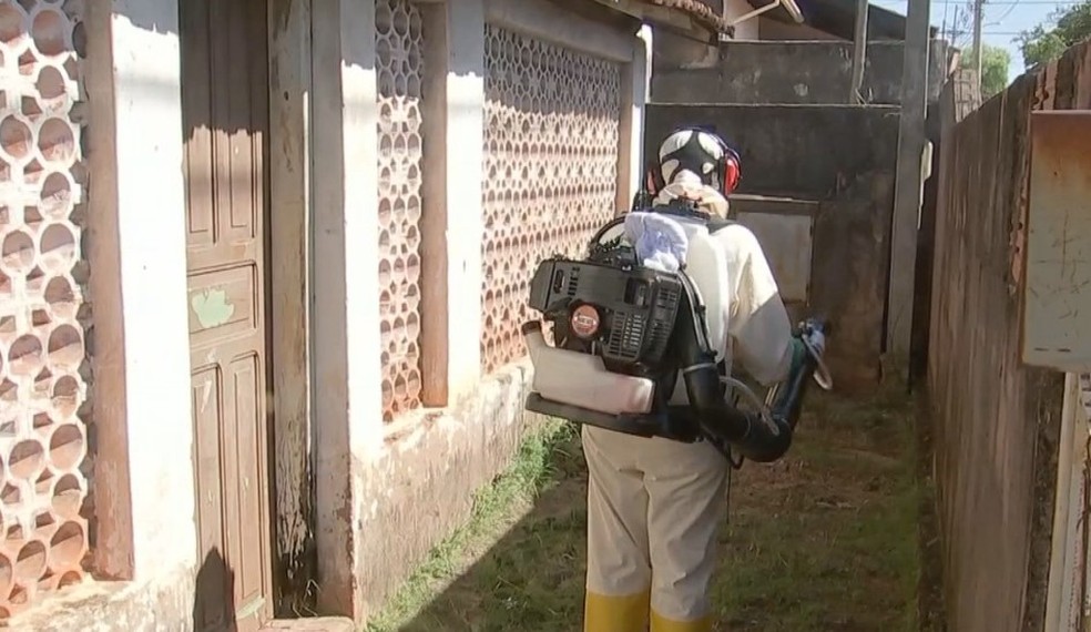Dengue supera casos do ano passado inteiro em Bauru — Foto: Reprodução/TV TEM
