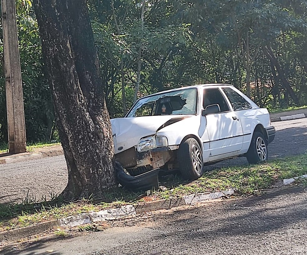 Carro bateu de frente em árvore no canteiro central da Avenida JK— Foto: Ricardo Nunes da Silva