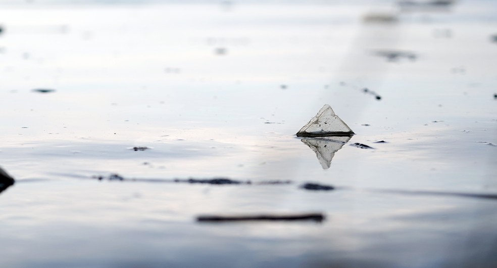 Embalagem plástica boia nas águas da Baía de Guanabara — Foto: Marcos Serra Lima/g1