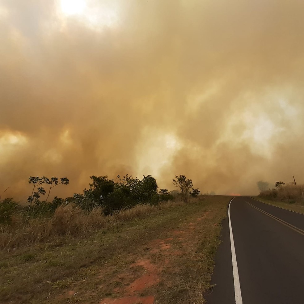 Incêndio em vegetação causou interdição da SP-501 em Flora Rica — Foto: Polícia Militar Rodoviária