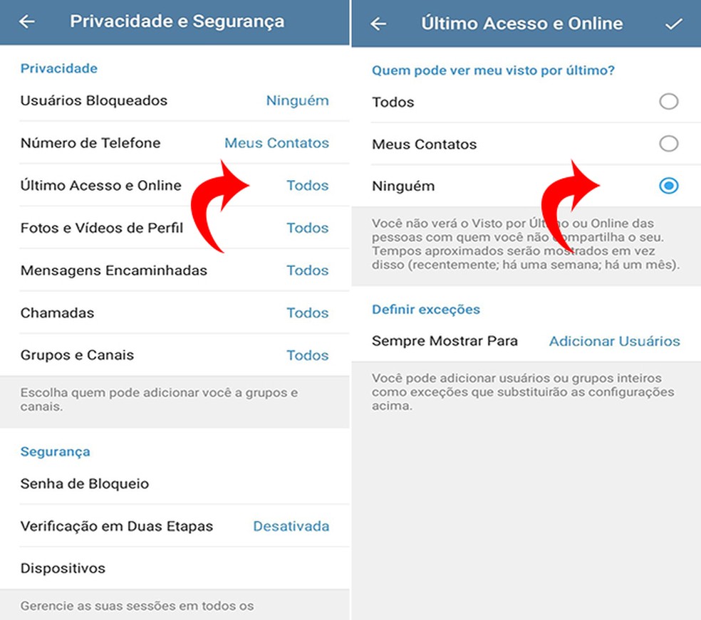 Telegram permite desabilitar visto por último e online do mensageiro — Foto: Reprodução/Flávia Fernandes