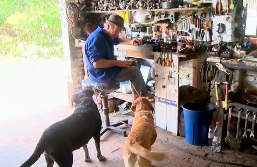 Cachorros alcançam ferramentas a dono de oficina em Restinga Seca — Foto: Reprodução/RBS TV