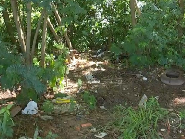 Terrenos com mato alto e entuilho são motivo de preocupação em Salto de Pirapora (Foto: Reprodução/TV TEM)