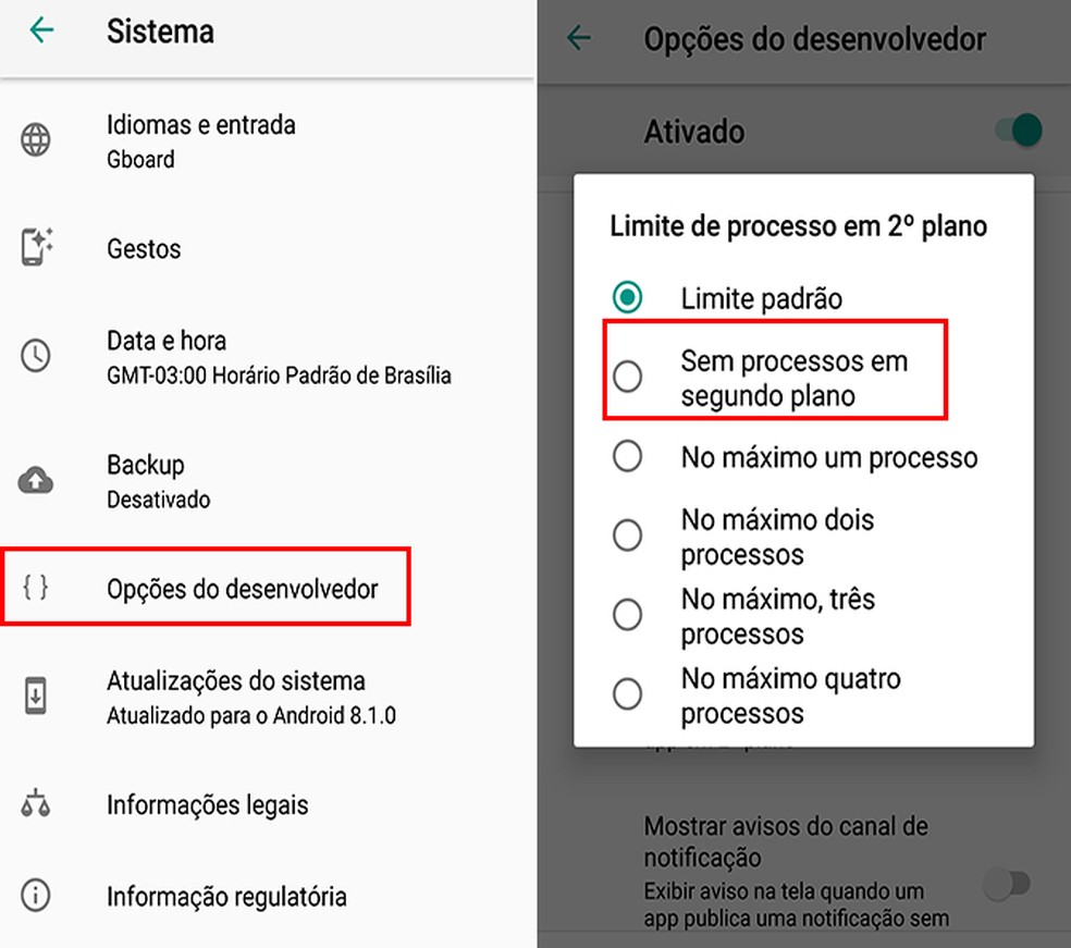 Acesse o modo de desenvolvedor para impedir funcionamento em segundo plano de apps — Foto: Reprodução/Flávia Fernandes