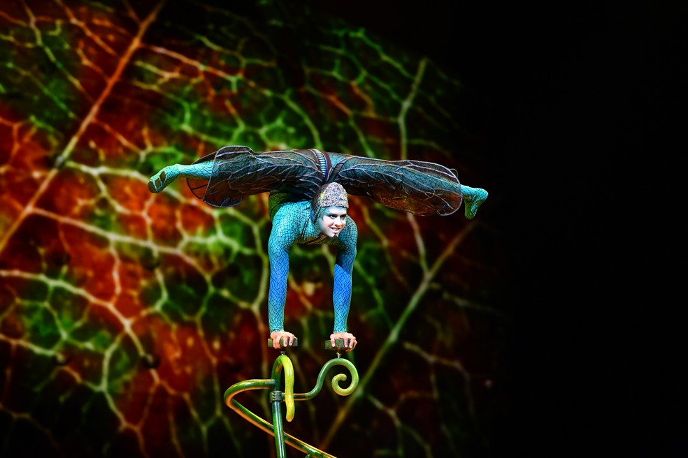 Espetáculo "Ovo" da companhia canadense Cirque du Soleil  — Foto: Cirque du Soleil/Divulgação