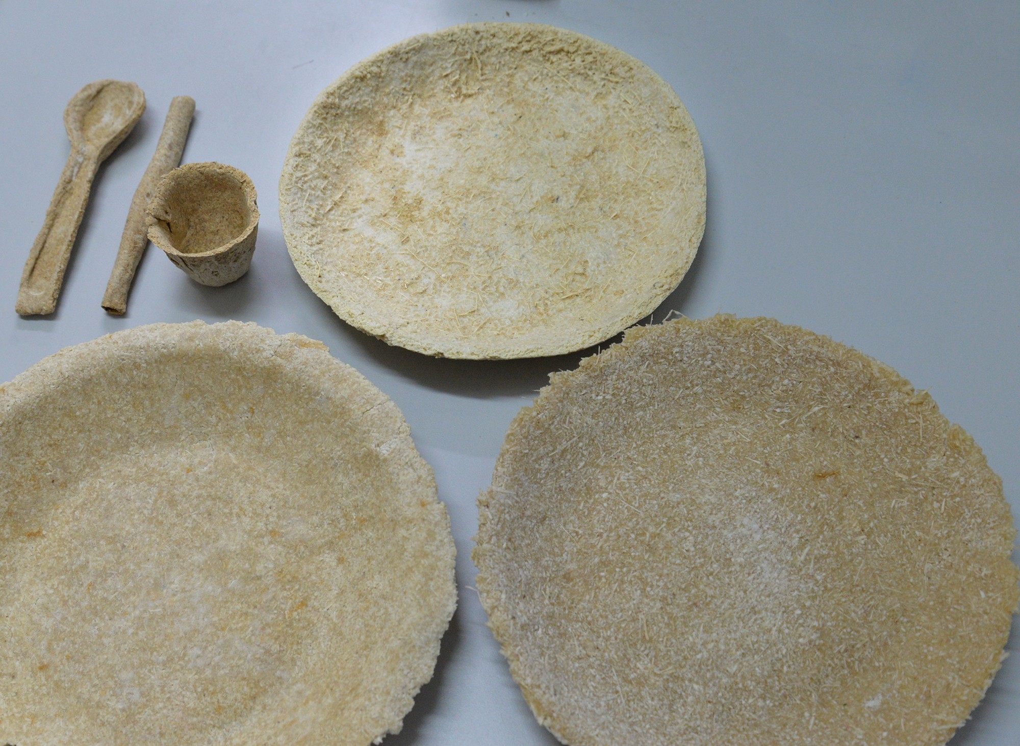 o Bioplástico é feito com bagaço de cana moído, farinha de trigo e água (Foto: Divulgação Laís Menezes)