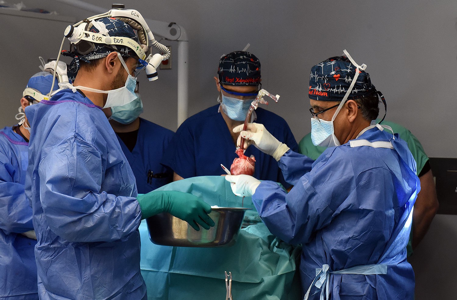 Cirurgiões fazem 2º transplante de coração de porco em paciente nos EUA 
