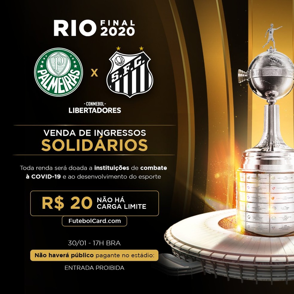 Palmeiras Santos Final : Revive la final de la copa ...